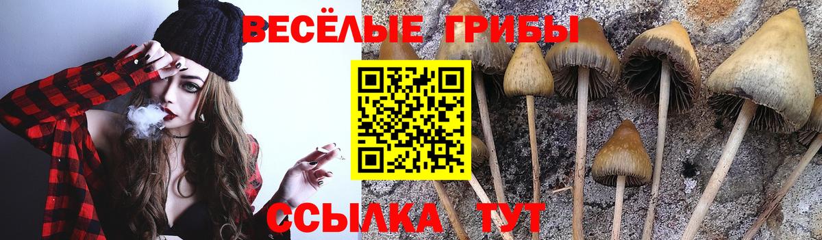 Галлюциногенные грибы ЛСД  Псилоцибиновые грибы Cubensis  Вход с VPN  Кизляр 