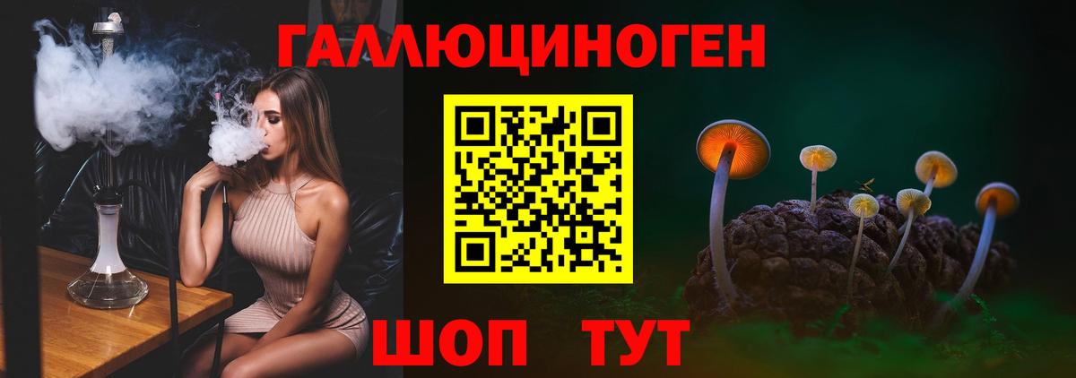 Галлюциногенные грибы Magic Shrooms Кизляр